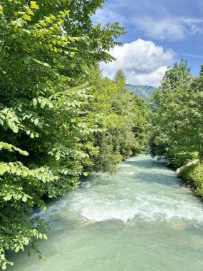 Partnach dağ nehrinin durdurulamaz akışının köprüsünün manzarası orman ağaçlarının gölgesinin altındaki akıntıları aşıyor..