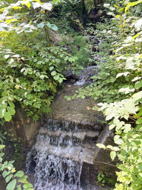 Bir dağ nehrinin su akıntısı, bir kayalık yamaçtan orman çalılıklarına doğru akar ve doğal şelaleler oluşturur..