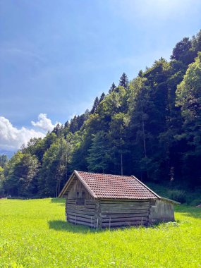 Dağ ormanının eteğindeki küçük bir barakanın manzarası koyun çobanlarının geri kalanı için..
