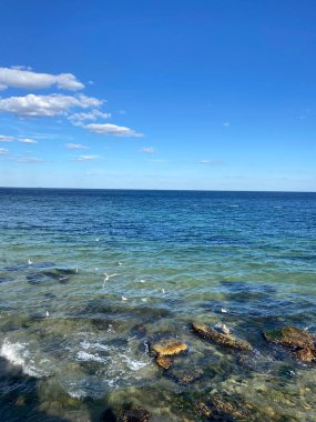 Bir martı sürüsünün üzerinde uçtuğu Karadeniz kıyısındaki mavi denizin eşsiz bir manzarası..