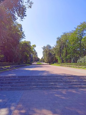 Shevchenko Parkı 'ndaki geniş sokakların manzarası serinletici serin gölgeler veren genç ağaçlarla çevrili..