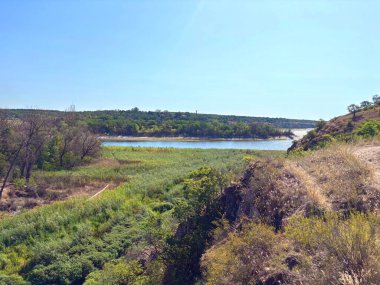 Dinyeper nehir yatağının şaşırtıcı manzarası. Etrafı yoğun sedir ve sazlıklarla çevrili. Güneşli bir yaz gökyüzünün arka planında Baida adasını yıkıyorlar..