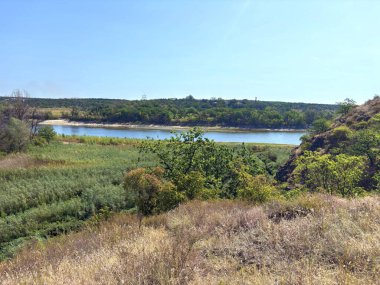 Dinyeper nehir yatağının şaşırtıcı manzarası. Etrafı yoğun sedir ve sazlıklarla çevrili. Güneşli bir yaz gökyüzünün arka planında Baida adasını yıkıyorlar..