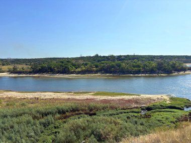 Dinyeper nehir yatağının şaşırtıcı manzarası. Etrafı yoğun sedir ve sazlıklarla çevrili. Güneşli bir yaz gökyüzünün arka planında Baida adasını yıkıyorlar..