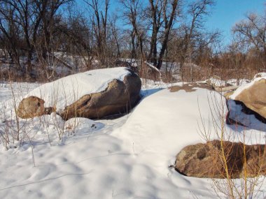 Kıyı Dinyeper kayalarından oluşan bir panorama parlak buz gibi güneşin altında kar örtüsüyle kaplı..