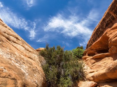 Arches Milli Parkı, Utah, ABD
