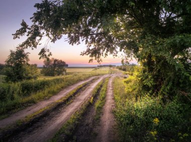 Canlı, yeşil kemer