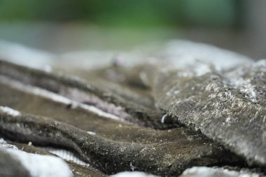 Bu yakın plan, doğal varyasyonları olan yıpranmış, pürüzlü bir dokuyu yakalar, bir arkaplan ya da kaplama için idealdir.