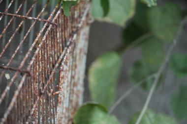 Görüntü, eski metal bir çitin pürüzlü, paslı dokusu ile arkasındaki yumuşak, bulanık yeşillik arasında çarpıcı bir tezat oluşturuyor..