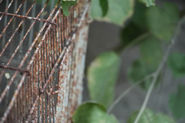 Görüntü, eski metal bir çitin pürüzlü, paslı dokusu ile arkasındaki yumuşak, bulanık yeşillik arasında çarpıcı bir tezat oluşturuyor..