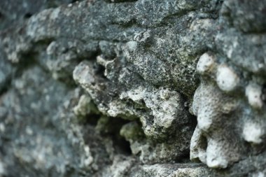 Bu görüntü, yıpranmış taş bir duvarın sert ve düzensiz dokusunu yakalar, doğal çatlaklarını ve aşınmış yüzeyini gösterir..