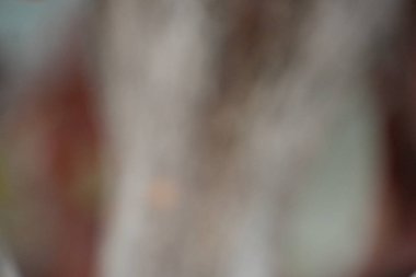 Çok bulanık bir görüntü, yumuşak turuncu ve açık bej renklerinin soyut bir etkileşimini sergiliyor, sakin ve belirsiz bir arkaplan oluşturuyor..