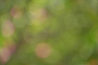 Bu resim, sıcak pembe ve yeşil Bokeh ışıklarının harmanlanmış harmonik bir karışımını içeriyor, mükemmel derecede huzurlu ve doğal olarak soyut bir arkaplan oluşturuyor..