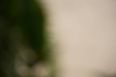 Bu soyut arkaplan yumuşak, bulanık bir kenar içerir koyu yeşilden açık bej renge geçiş yapan, ince tasarımlar için uygun.