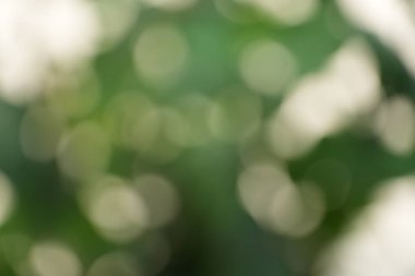 Büyüleyici soyut bir arka plan çok sayıda parlak, parıldayan bokeh daireler sergiliyor. Koyu yeşil, bulanık arka plana hafifçe aydınlatılmış..