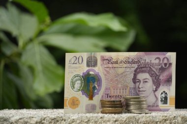 İngiliz 20 pound 'luk banknot ve iki bozuk para yığını beton bir yüzeye oturmuş. Arka planda yumuşak yeşil bir yaprak tarafından güzelce çerçevelenmiş. Maliyeyi doğayla harmanlıyor..