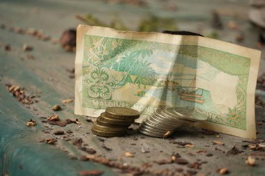 Bu fotoğraf, kültürel ve tarihsel finansal unsurları vurgulayan eski Maldivler 'in iki birimlik banknot ve sikkelerinin arkasını gösteriyor..