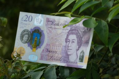 İngiliz 20 pound 'luk banknot yeşil yapraklar arasında açıkça gösteriliyor, para ve çevresel bağlantıyı simgeliyor..