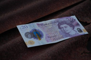 Çürüme, endüstri veya ekonomik zorluklar temaları iletilen, ağır paslanmış bir metal yüzey üzerine kuruludur..