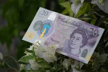 Bu resim, büyümeyi, saflığı ve doğal finansı sembolize eden el değmemiş beyaz çiçekler ve yeşil yapraklarla çevrili 20 poundluk bir banknotu içeriyor..