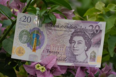 Canlı pembe yapraklar ve begonvillerin gür yeşil yaprakları arasında, finans ve doğanın güzelliğinin hassas bir düzende kesişmesini sembolize eden, gevrek bir 20 pound 'luk banknot güzel bir şekilde sergilenir..