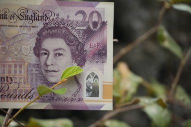 Yumuşak yeşil bir filiz, Kraliçe Elizabeth 'in portresini 20 poundluk bir banknotla nazikçe geçerek doğal büyüme kavramlarını, finansal yatırımı ve hem doğada hem de para biriminde bulunan ebedi değeri sembolize eder..
