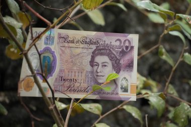 20 poundluk banknot, yeşil yapraklar ve ince dallarla özenle iç içe geçerek, doğada bulunan organik güzellik ve büyüme potansiyeli ile finansal değeri birbirine bağlayan bir görüntü oluşturuyor..