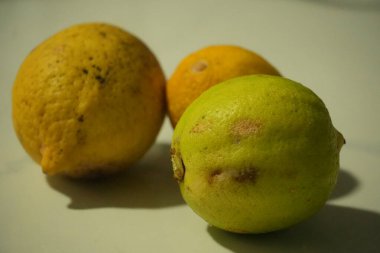 Bir limon üçlüsü, sarı ve yeşilin farklı tonlarını sergiliyor, yumuşak gölgeli, temiz ve açık bir yüzeyde dinleniyor..