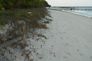 Bu geniş manzara, sakin okyanus boyunca uzanan el değmemiş kumlu bir sahili ve sakin sularda zar zor görünen uzak bir bariyeri ya da yapıyı gösteriyor..