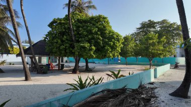 Etrafı çitlerle çevrili kumlu bir sahil ve palmiye ağaçları sakin ve rahatlatıcı bir tropikal tatil noktası oluşturuyor..