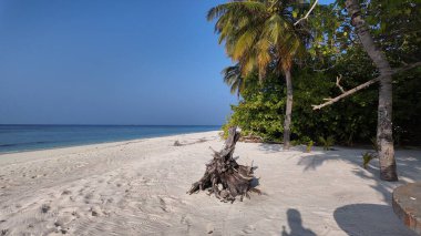 Parlak bir gökyüzünün altında berrak mavi suların üzerine eğilen sakin kumlu bir sahil, pitoresk bir tropikal manzara yaratıyor..