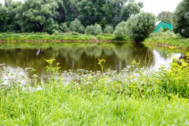 Yaz aylarında küçük eski gölet.