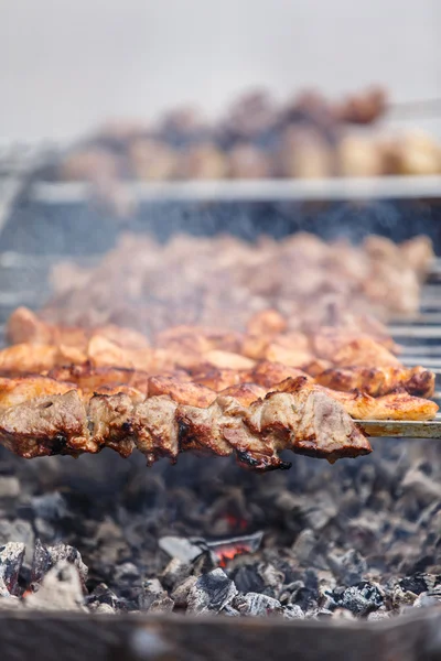 Shish kebab em espetos (carne bovina, carne de porco, frango) são assados sobre th — Fotografia de Stock
