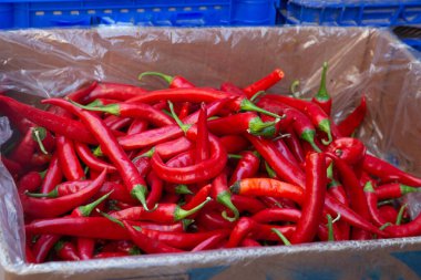 Sokak ticareti. Sebze satan bir mağaza. Kırmızı biberler kutuda.