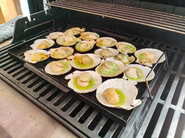 贝壳中的海扇贝被烤在烤架上 — 图库照片