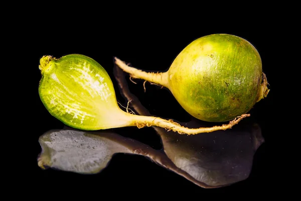 Rábano verde y rojo (nabo) en un espejo negro . — Foto de Stock