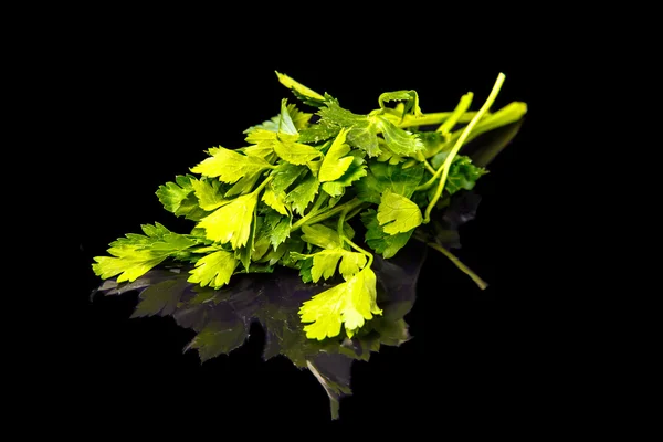 A few branches of parsley on a black mirror.