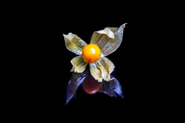 Physalis siyah bir aynada yansıması ile meyve.