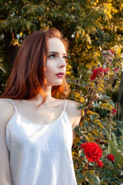 Kırmızı güller ve turuncu güneş