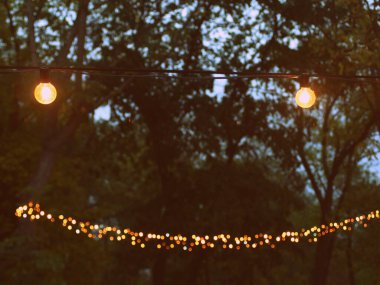 Ilık, eski, parlak ampuller ve karanlık bahçede asılı tel lambalar.