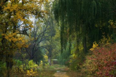 Pictorialist reverie beneath drooping willows and softly glowing leaves