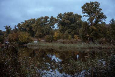 Yumuşak yansımaları ve sessiz orman renkleriyle bulutlu sonbahar sulak arazisi
