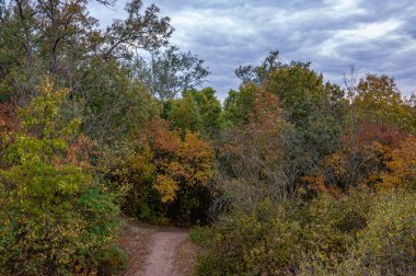 Dolambaçlı toprak patika Yoğun sonbahar ormanlarında kayboluyor