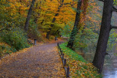 Altın sonbahar tepe örtüsünün altında nehir kenarındaki kıvrımlı park yolu