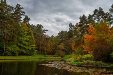 Dramatik sonbahar gökyüzü tenha bir orman gölünün sakin karanlık suyuna yansıyor.