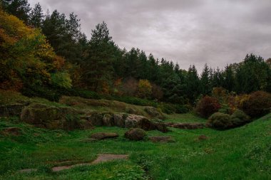 Yumuşak eğimli yeşil yamaç yosun kaplı kayalar içeren engebeli bir manzara.