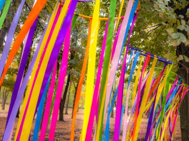 Mevsimlik kutlamalar sırasında parka gökkuşağı kurdeleleri yerleştirildi