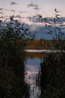 Pembe günbatımı gökyüzü vahşi otların çerçevelediği gölde yansıyor.