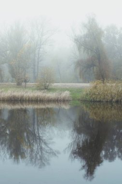 Sakin göl suyuna yansıyan ağaçlarla kaplı sisli sonbahar manzarası