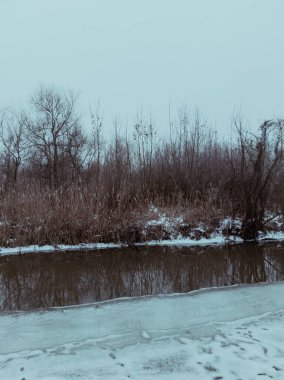 Buzun kamışla buluştuğu, kışın ortasında, suyun kenarında bulutlu bir arazi.